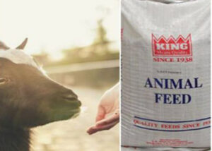 Animals feed bag